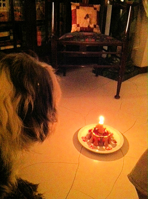 birthday cake and dino